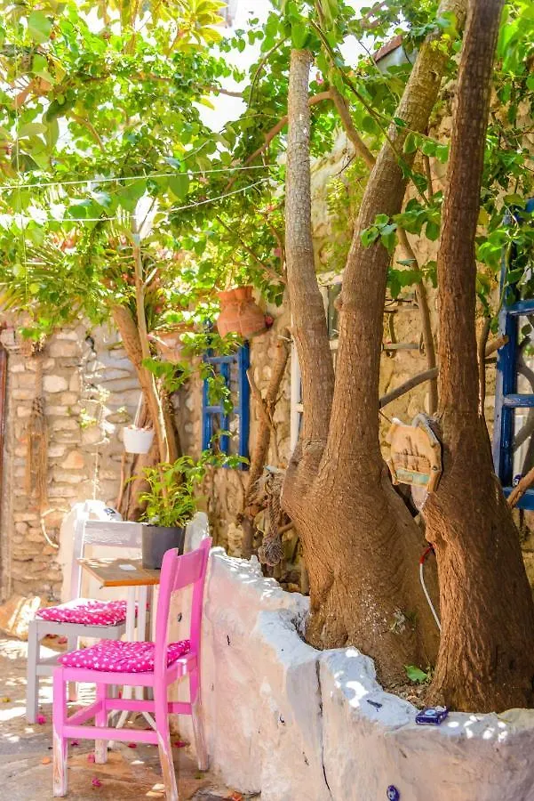 Tas Butik Otel 0*, Bodrum Turcia